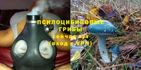 не бодяженный Михайлов