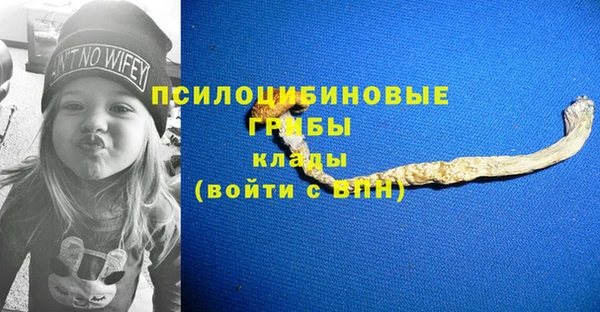 ПСИЛОЦИБИНОВЫЕ ГРИБЫ Навашино