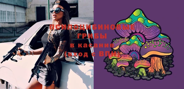 марки nbome Ветлуга