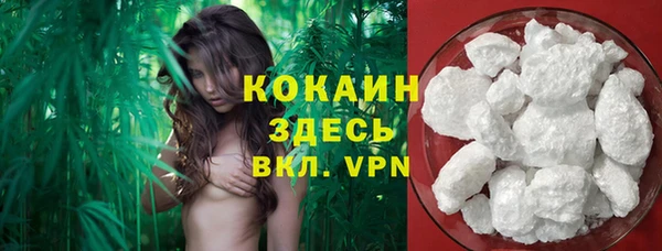 ПСИЛОЦИБИНОВЫЕ ГРИБЫ Навашино