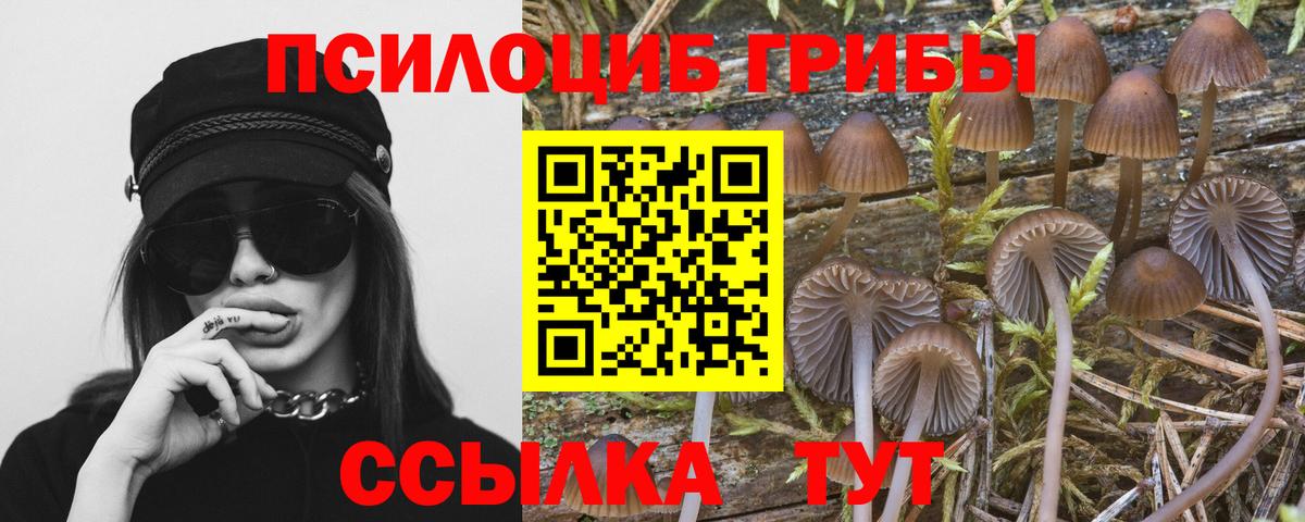 Галлюциногенные грибы Cubensis  Псилоцибиновые грибы мицелий  Советский  Вход с VPN 